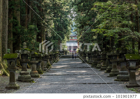Shrine approach and large lanterns Shrine approach and large lanterns 101901977
