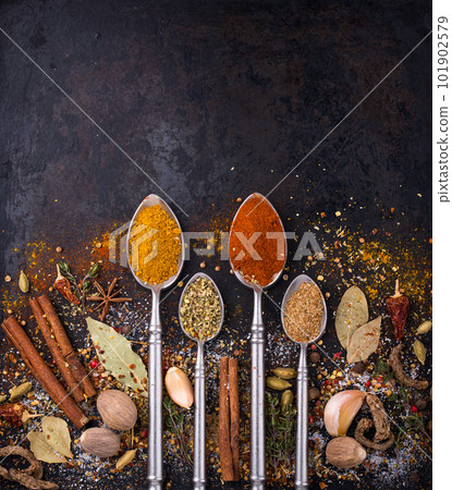 Different spices and herbs on a black background Different spices and herbs on a black background 101902579