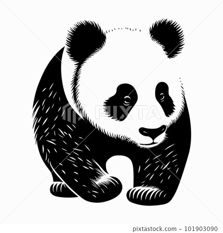 Giant panda Chinese black and white bear 101903090