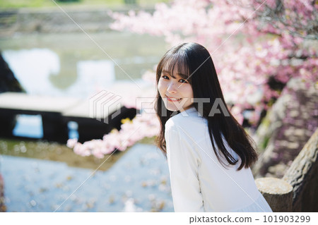 Cherry blossoms and girls Cherry blossoms and girls 101903299