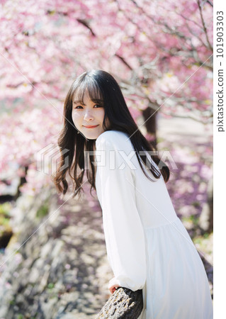 Cherry blossoms and girls Cherry blossoms and girls 101903303