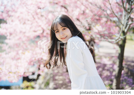 Cherry blossoms and girls Cherry blossoms and girls 101903304