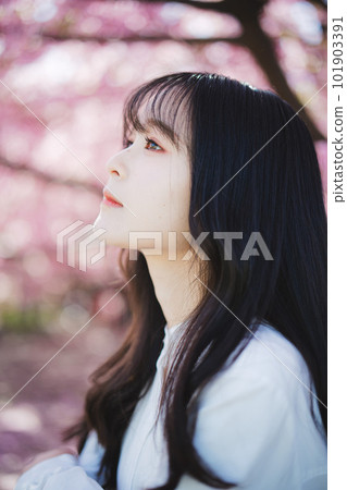 Cherry blossoms and girls Cherry blossoms and girls 101903391