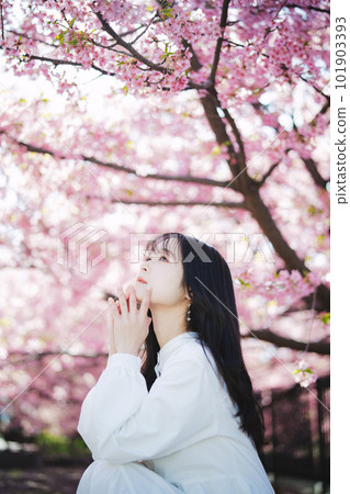 Cherry blossoms and girls Cherry blossoms and girls 101903393