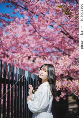 櫻花和女孩 101903399
