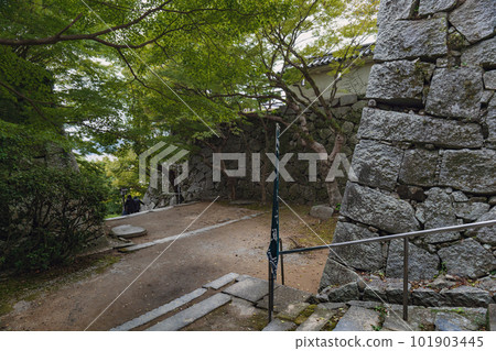 佐賀唐津城 城內風景 101903445