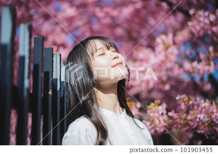 Cherry blossoms and a girl under the tree Cherry blossoms and a girl under the tree 101903455