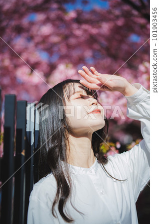Cherry blossoms and a girl under the tree Cherry blossoms and a girl under the tree 101903456