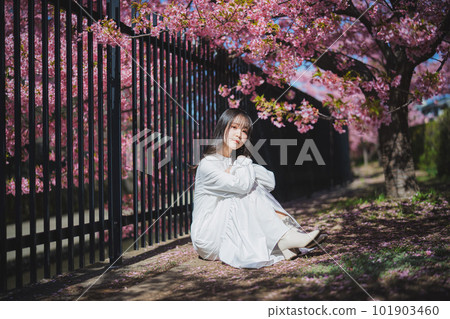 Cherry blossoms and a girl under the tree 101903460