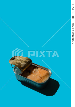 Open tin can with salmon Open tin can with salmon 101903511