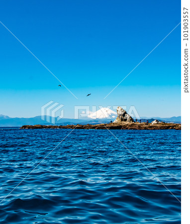 Eboshiiwa rock floating in the sea of Shonan Chigasaki with snow-capped Mt. Fuji in the background Eboshiiwa rock floating in the sea of Shonan Chigasaki with snow-capped Mt. Fuji in the background 101903557