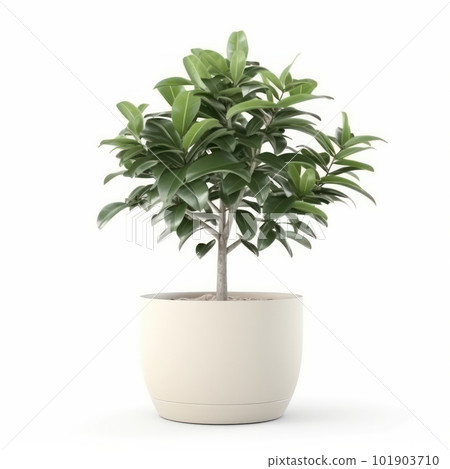 Contemporary indoor gardening made easy with this potted plant against a clean white background. Pure and simple aesthetics. AI Generative. 101903710