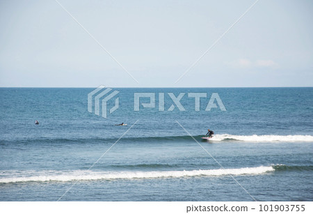 Surfers at Malibu Surfrider Beach west of Malibu Pier in Los Angeles, California 101903755