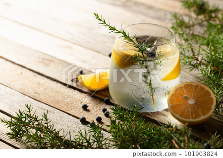 Gin tonic cocktail with lemon, juniper branches, and berries. 101903824