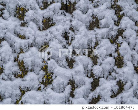 The texture of the adhesion of snow on a concrete wall. 101904475