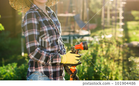Close up woman gardener in work clothes watering the beds in her vegetable garden on sunny warm summer day. Concept of working in the garden and your farm Close up woman gardener in work clothes watering the beds in her vegetable garden on sunny warm summer day. Concept of working in the garden and your farm 101904486