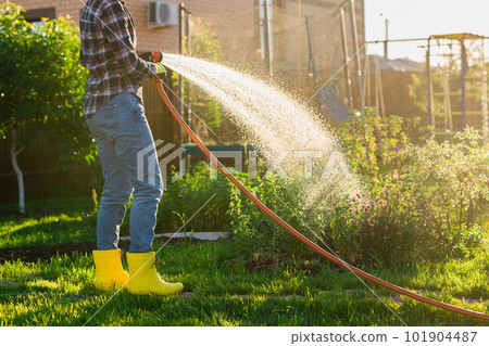 Close up woman gardener in work clothes watering the beds in her vegetable garden on sunny warm summer day. Concept of working in the garden and your farm Close up woman gardener in work clothes watering the beds in her vegetable garden on sunny warm summer day. Concept of working in the garden and your farm 101904487