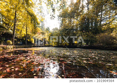 Alfred Nicholas Memorial Gardens in Australia 101904564