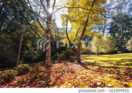 Alfred Nicholas Memorial Gardens in Australia Alfred Nicholas Memorial Gardens in Australia 101904650