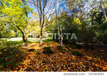 Alfred Nicholas Memorial Gardens in Australia Alfred Nicholas Memorial Gardens in Australia 101904661