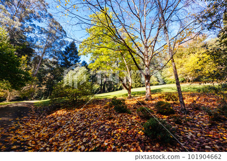 Alfred Nicholas Memorial Gardens in Australia Alfred Nicholas Memorial Gardens in Australia 101904662
