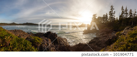 Rocky Shore on West Coast of Pacific Ocean in Tofino. Nature Background 101904771