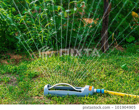 Irrigation system for watering a green grass lawn. 101904905