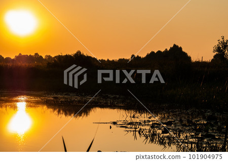 Orange sunny dawn over the water surface of the lake. 101904975
