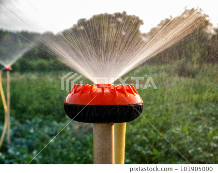 Irrigation system for watering water in agriculture. 101905000