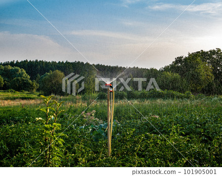 Irrigation system for watering water in agriculture. Irrigation system for watering water in agriculture. 101905001