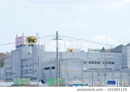 major shipping company major shipping company 101905129