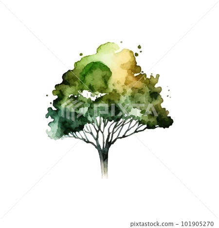 Watercolor tree hand draw vector nature painting Watercolor tree hand draw vector nature painting 101905270