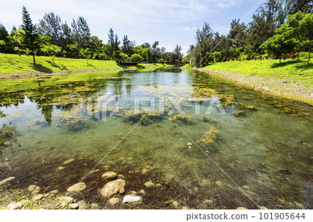 Beautiful view of Pipa Lake at Taitung Forest Park in Taiwan. The scenic Pipa Lake is a habitat of aquatic animals and plants. 101905644