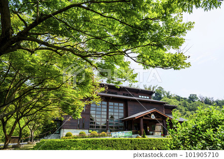 Tree Bank at Chu-Kou Working Station of Chiayi Forest Administration, Taiwan. it is also the place where the only "Tree Bank" in Taiwan stands. 101905710