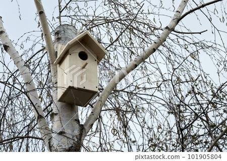 Birdhouse on truncated birch tree stem in early spring Birdhouse on truncated birch tree stem in early spring 101905804
