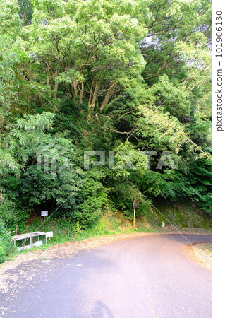 Kitsuki City Otozan Kofun 101906130