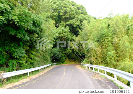 Kitsuki City Otozan Kofun 101906131