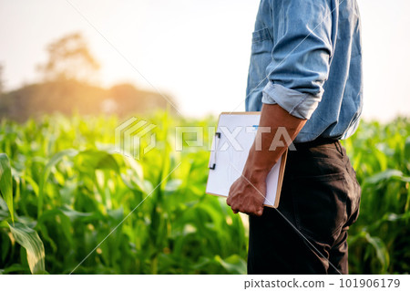 Smart farmer holding document clipboard to examining quality cro Smart farmer holding document clipboard to examining quality cro 101906179