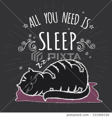 Adorable fat and black cat is sleeping Adorable fat and black cat is sleeping 101906180