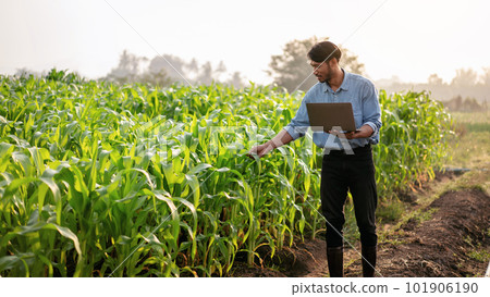 Smart farmer using laptop to examining quantity and quality crop 101906190