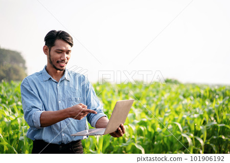 Smart farmer using laptop to examining quantity and quality crop 101906192