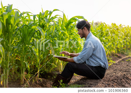 Smart farmer typing on laptop to examining quantity and quality Smart farmer typing on laptop to examining quantity and quality 101906360