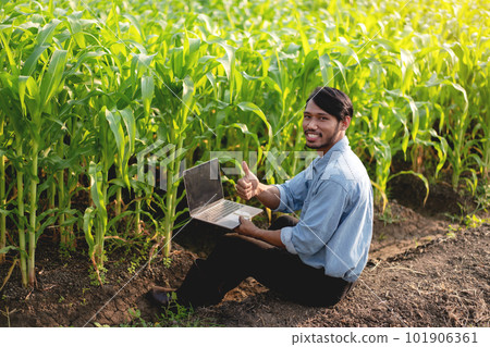 Smart farmer making thumb up gesture and examining quantity and 101906361