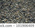 Different color beach stone pebbles at seashore outdoors top view. Abstract smooth round pebbles sea 101906409