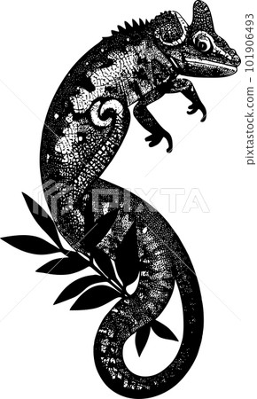 black contour drawing of a chameleon close-up, monochrome graphics, logo, tattoo 101906493