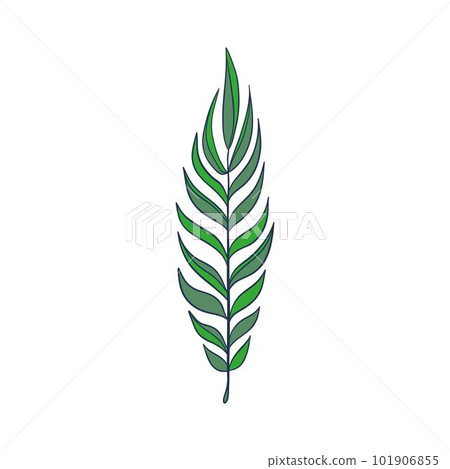 Green sprig of rosemary cartoon style, isolated vector icon. Graphic element for packaging, logo, for rosemary products. 101906855