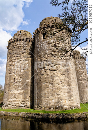 Nunney Castle, Somerset, England - United Kingdom 101907012