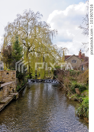 Mells River at Village of Nunney, Somerset, England Mells River at Village of Nunney, Somerset, England 101907016