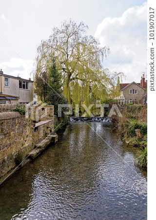 Pretty cottages and the Mells River at Nunney Pretty cottages and the Mells River at Nunney 101907017