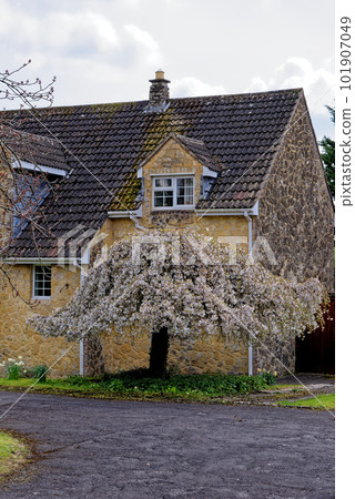 The Village of Nunney - Somerset, England The Village of Nunney - Somerset, England 101907049